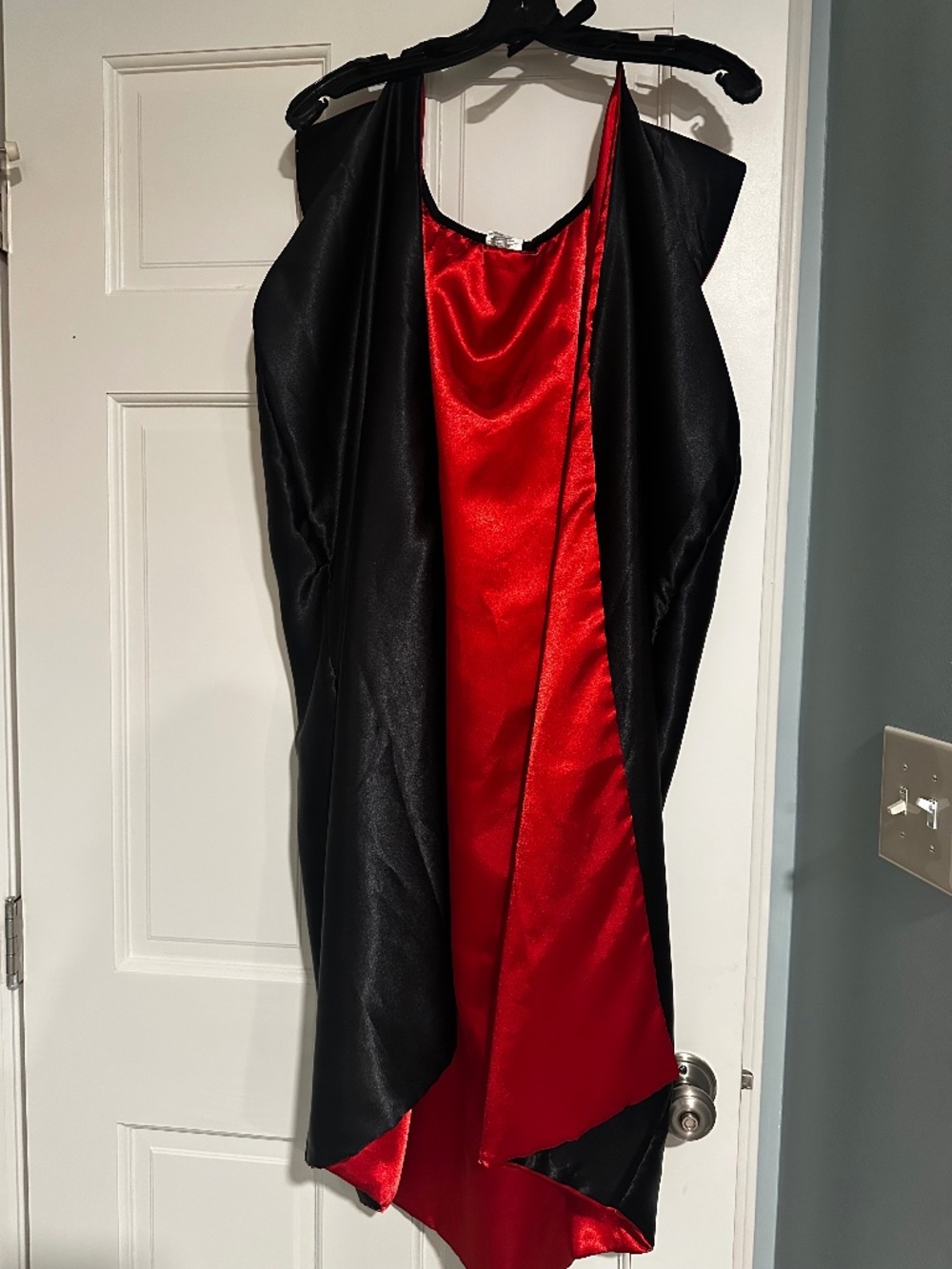 Halloween Costume: Dracula's Cape